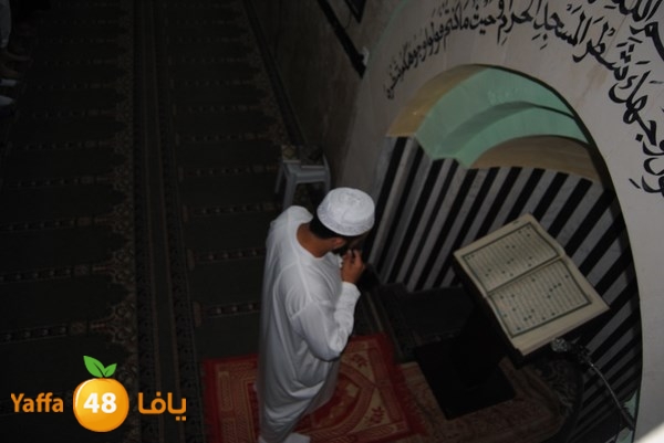 tarawe7 ramlasjju (31).JPG